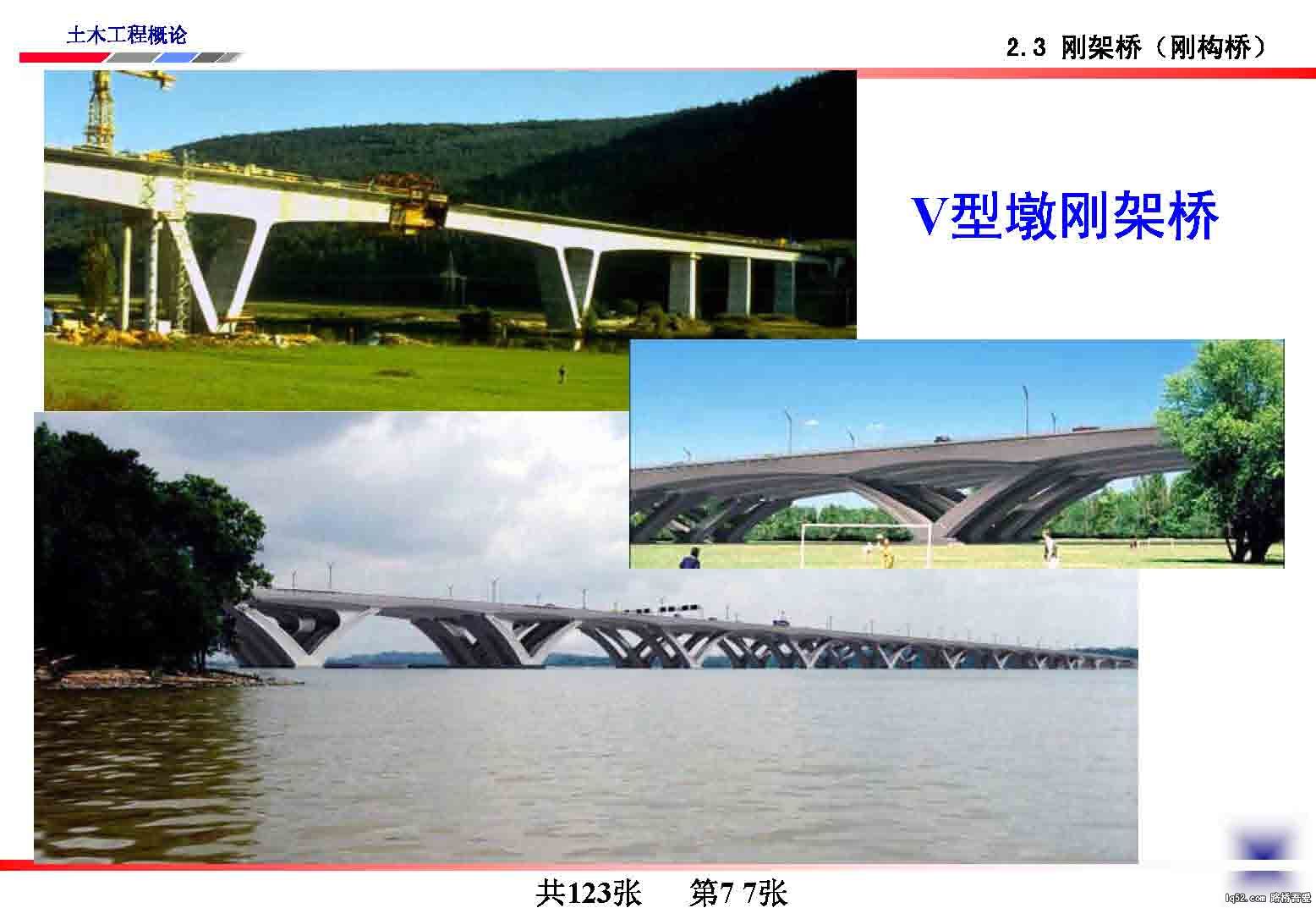 77.jpg
