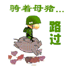 骑着母猪路过.gif