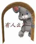 有人吗？.gif