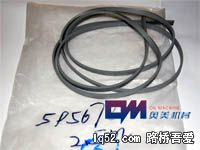 C9修包-5P5678-200.JPG